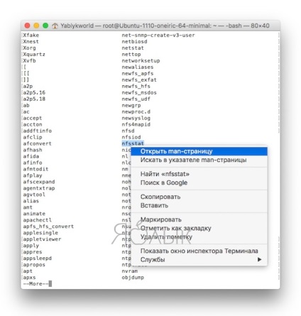 Cum de a deschide o listă completă de comenzi terminale în MacOS cu o descriere, știri Apple