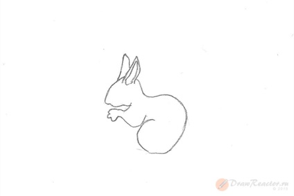 Cum de a desena o veveriță - desene de lecție