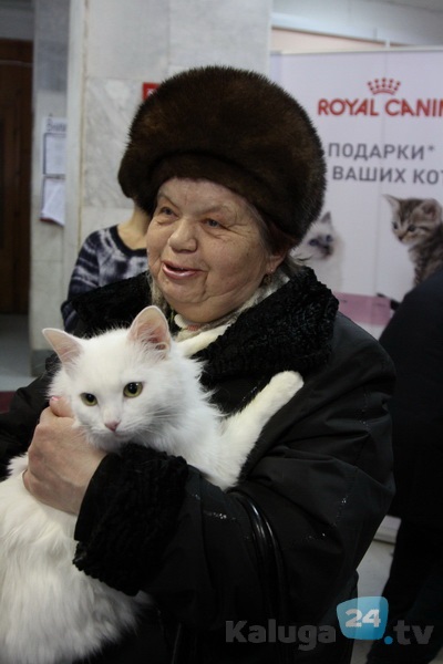 Douăzeci de pisici au fost date lui Kaluzhany