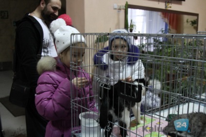 Douăzeci de pisici au fost date lui Kaluzhany