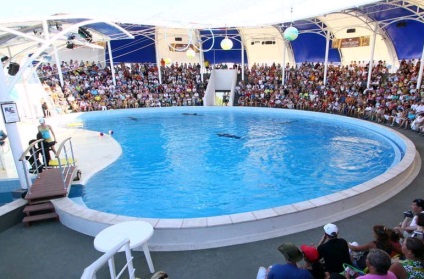 Dolphinarium Koktebel