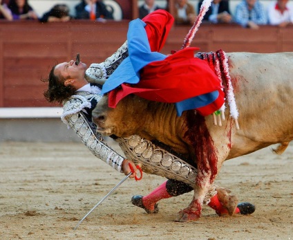Lupte cu tauri în Spania - bătălii cu tauri - sărbători ale popoarelor lumii