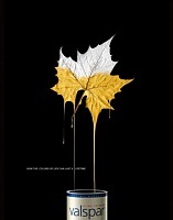 Creative paint advertising 30 exemple