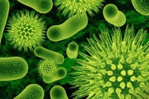 Tratamentul infecției bacteriene pe piele