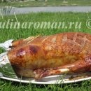 Marinate castravete pentru iarnă fără oțet și aspirină, rețete delicioase