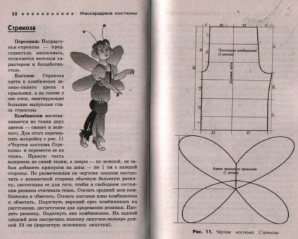 Mască dragonfly cu propriile mele mâini