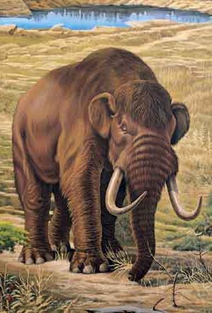 Mastodon este strămoșul unui elefant