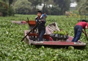 Metro Mexico City a deschis un adăpost pentru câinii fără stăpân - canal ntd