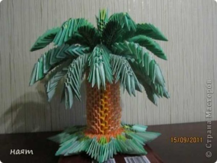 Modulară de origami clasă de master palmier