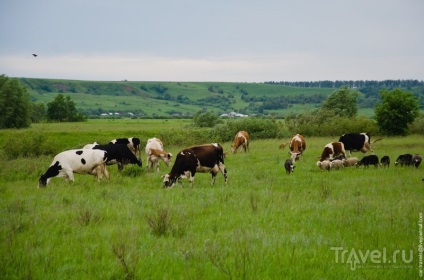 Călătoria din Mordovia