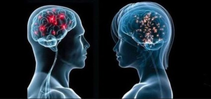 Sexul neural nu este la fel de masculin și feminin și este ok (test), doctor Andrew