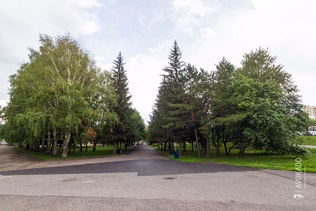 Privire de ansamblu a parcurilor în cazul în care în Kemerovo vara aceasta pentru a respira în pădure, înmuiați deasupra uleiului și urmăriți cu briza