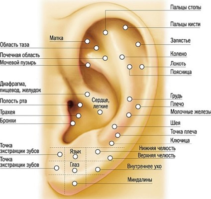 Unul dintre momentele importante din viața fetelor este piercing-ul urechii