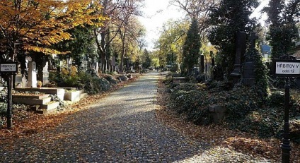 Cimitirul Olshan