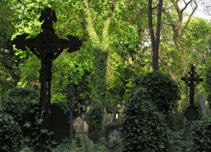 Cimitirul Olšan din Praga 1
