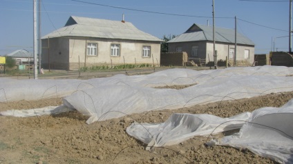 Oralmane de la rushes reînviat agricultura în sud-Kazakhstani aul, centru-1