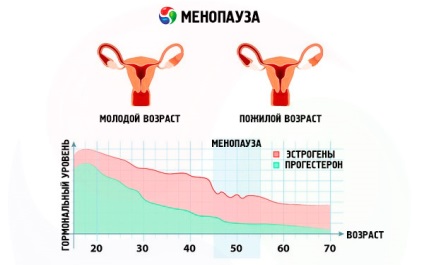 Osteoporoza și simptomele și tratamentul la adulți și copii