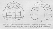 Evaluarea mucoasei patului protetic al maxilarilor fără dinți, stomatologia ortopedică