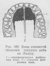 Evaluarea mucoasei patului protetic al maxilarilor fără dinți, stomatologia ortopedică