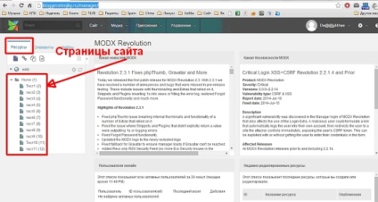 Panoul de control al site-ului pe modx
