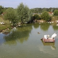 Bird Park Vrabii, regiunea Kaluga