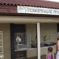 Bird Park Vrabii, regiunea Kaluga