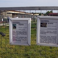 Bird Park Vrabii, regiunea Kaluga