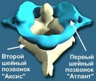 Prima vertebra de col uterin