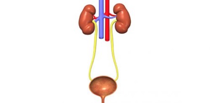 Negru pigmentar intradermic, displazic, limită