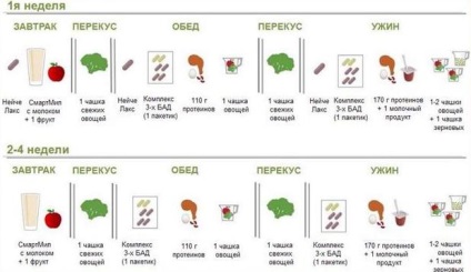 Nutriție pentru pierderea în greutate, corectarea pierderii în greutate cu nsp