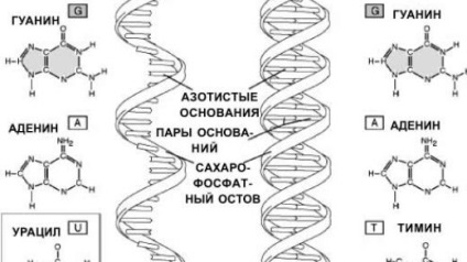 Чому людині сняться страшні сни