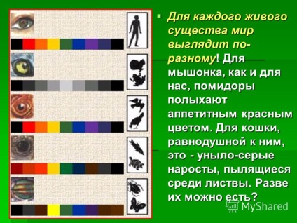 Prezentare pe tema modului în care animalele văd munca profesorului de fizică în Rusinskaya Sushi Romnenskaya