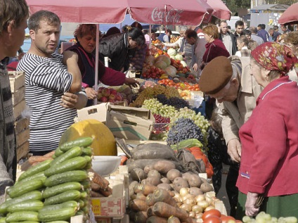 Se verifică, chimia nu este prezentă cum să fie protejată de nitrați - zona Moscovei