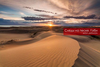 Desertul Gobi 1