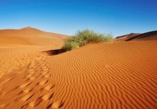 Mojave Desert harta, fotografia, atracții turistice