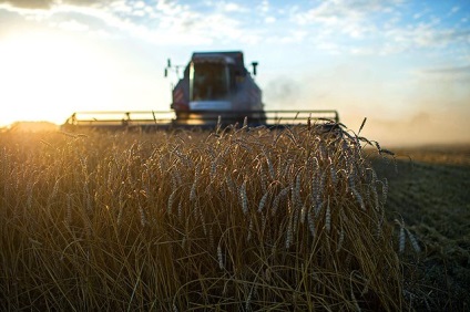 Înregistrați recolta din 2016 de ce avem nevoie atât de mult de cereale, agronomie, societate, argumente și fapte