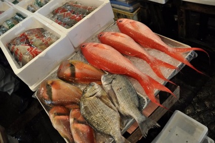 Piata de pe piata tsukiji din Tokyo - stiri in fotografii