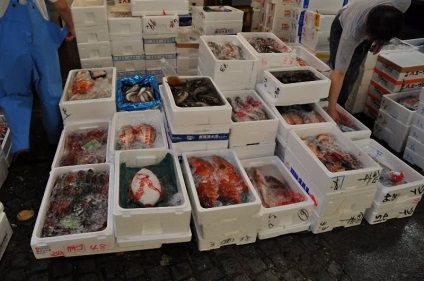 Piata de pe piata tsukiji din Tokyo - stiri in fotografii