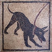 Roman mozaic