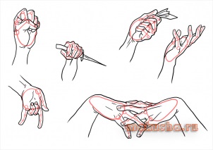 Desenarea mâinilor pas cu pas - cum să atragă mâna unei persoane pentru începători în pași la fel de ușor