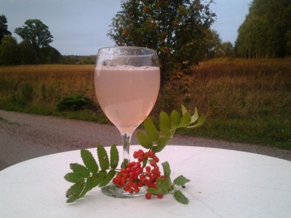 Rowan cseresznye piros téli receptek a főzés lekvárt, juice, komposzt és bor videó - eetplitsa