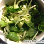 Salata din legume crude 