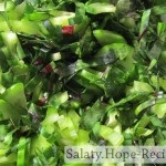 Saláta a nyers zöldségekből 
