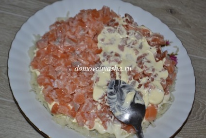 Salata - somon sub blana