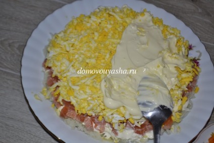 Salata - somon sub blana