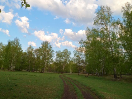 Sanatoriu de saffronovo