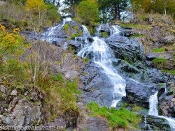 Pădurea Neagră pădure negru, atracții turistice