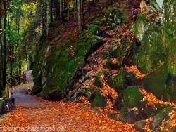 Pădurea Neagră pădure negru, atracții turistice