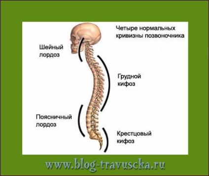 Scolioza simptomelor coloanei vertebrale și tratamentul gimnasticii
