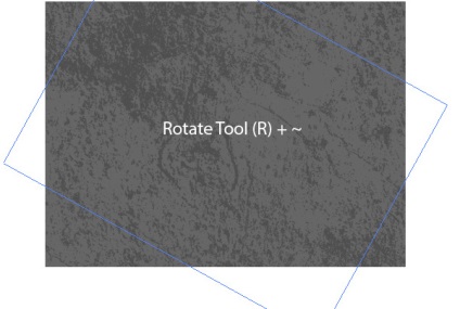 Creați o textură fără sudură în Adobe Illustrator, o colecție de sfaturi despre microstock